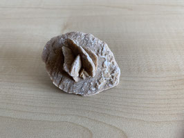Sandrose - 1
