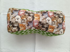 Leseknochen Katzenköpfe farbig, Schweinchen grün
