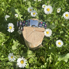 Kleines Hundehalsband "Kleine Pfötchen bunt 2"