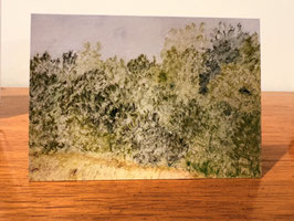 FLEETING LANDSCAPE-NEW!