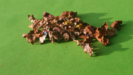 0102 Blech Schrott groß