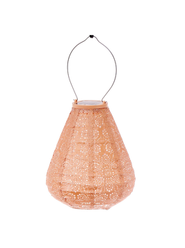 LUMIZ solarlampion - tulip 20 fiore apricot