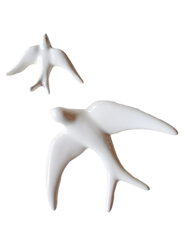 GOLONDRINA BLANCA