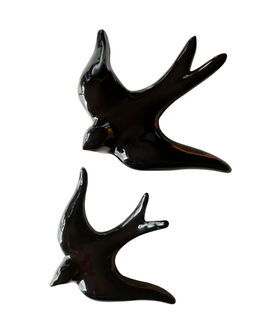GOLONDRINA NEGRA