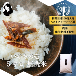 長野県産いのちの壱　5kg（無洗米）