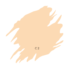 Concealer