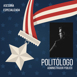 Asesoría Especializada en Política y Gobierno