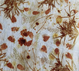 Résidence d’impression botanique en Provence. Tissus et papiers avec Suzy Gallo