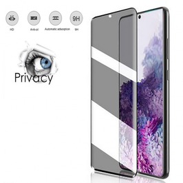 Panzerglas "Privacy" - Samsung Galaxy S20 Plus