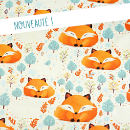 Kit maternelle Renard douillet - personnalisable
