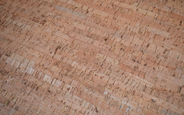 Lot Tissu liège