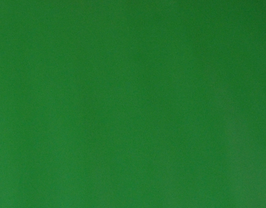 Morceau de cuir de vachette vert gazon
