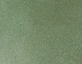 Coupon de cuir de chèvre vert métal