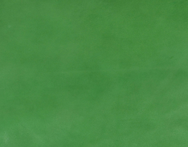 Morceau de cuir d'agneau vert