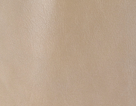Coupon de cuir de chèvre beige métal