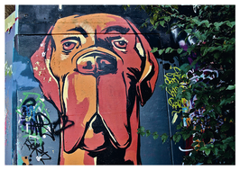 Street Art Schweiz