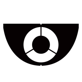 Solinco Logo Schablone