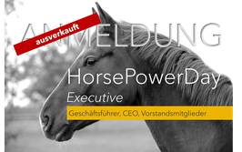 4. Horse Leadership Power Training Executive 2020