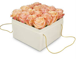 Rosenbox mit Rosen in Lachstönen