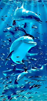 Delphin Light