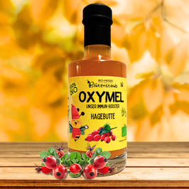 ♥ BIO-Oxymel mit Hagebutte – unser natürlicher Immun-Booster ♥