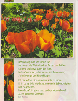 Postkarte GF: Orangene Tulpen - Freundschaft ist ein göttliches Geschenk
