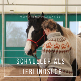 "Schnuller" - Ersatzgriff für Sticks
