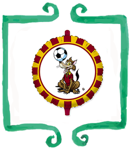 Palloncino Mylar Lupetto della Roma