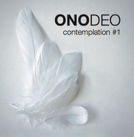 ONODEO contemplation #1