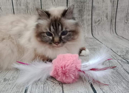 Fluffy Candy