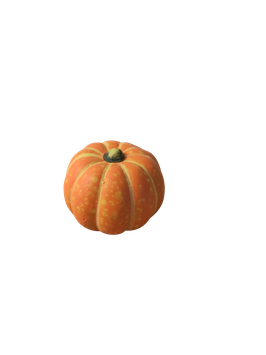 Kürbis 5,5x4 flach orange