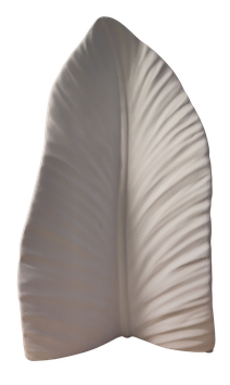 Palmenblatt Tropica 28cm