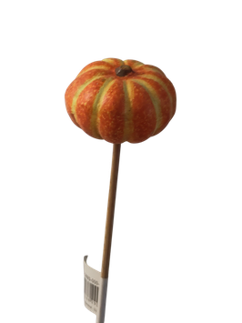 Kürbis am Stab orange