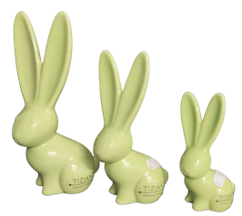 Hase Felipe grün