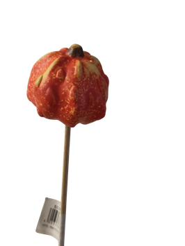 Kürbis am Stab orange unförmig