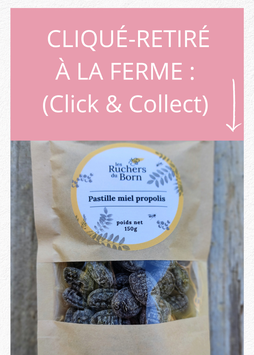 Pastilles au miel et à la propolis