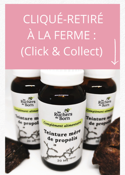 Teinture-mère de propolis