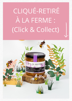 Miel de Bruyère des Landes