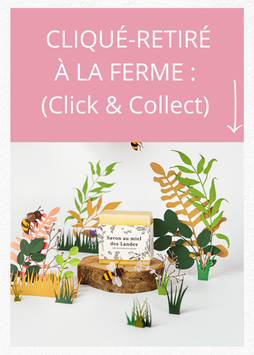 Savon  au miel des Landes