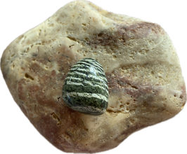 Silberauge Serpentin, grün gemustert, Schmuck Anhänger mit seitlicher Bohrung, Größe 20 x 18 mm - ohne Deko