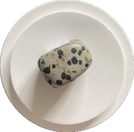Jaspis - Dalmatinerjaspis, graubraun mit schwarzen Flecken, Trommelstein, Größe 25 x 17 mm - ohne Deko
