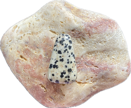 Dalmatinerjaspis beige schwarz gemustert, Schmuck Anhänger mit seitlicher Bohrung, Größe 27 x 17 mm - ohne Deko