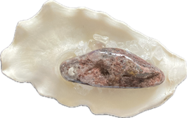 Versteinerte Koralle, braun gemustert, Trommelstein, Größe 51 x 18 mm- ohne Deko