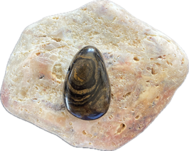 Stromatolith braungrau gemustert, Schmuck Anhänger mit seitlicher Bohrung, Größe 29 x 19 mm - ohne Deko