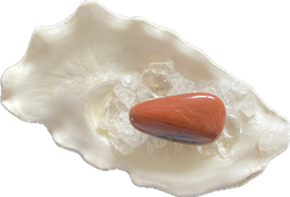 Versteinertes Holz, braunbeige, getrommelt, Größe 30 x 17 mm - ohne Deko