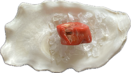 Koralle rot, Größe 21 x 14 mm - ohne Deko