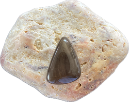 Versteinertes Holz dunkelbraun gemustert, Schmuck Anhänger mit seitlicher Bohrung, Größe 28 x 21 mm - ohne Deko
