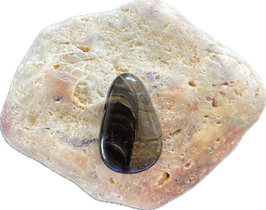 Stromatolith braungrau gemustert, Schmuck Anhänger mit seitlicher Bohrung, Größe 29 x 19 mm - ohne Deko