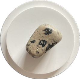 Jaspis - Dalmatinerjaspis, graubraun mit schwarzen Flecken, Trommelstein, Größe 30 x 20 mm - ohne Deko