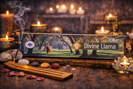 Premium Masala Sticks / Divine Liama